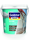 Paint Bucket Goldstar WEATHER GUARD NEW
